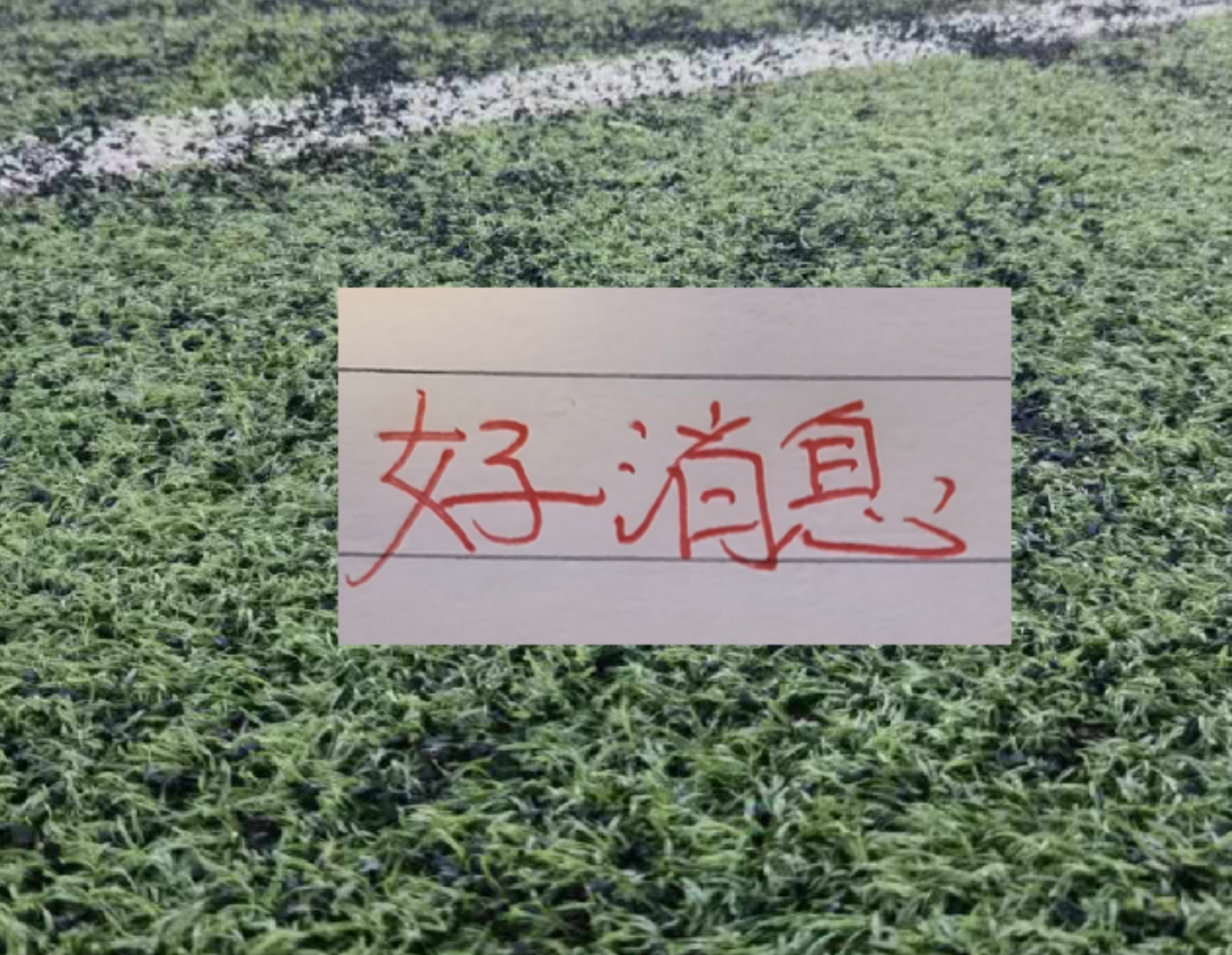 郑钦文放弃亚运会卫冕引发辩论,新科法网亚军哈雷首战出局遭调侃