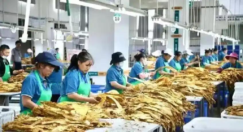 埃弗顿签下切尔西20岁边锋乔治，转会费起价1800万英镑